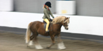 Rider and pony - under instruction