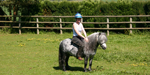 Trainer - riding pony