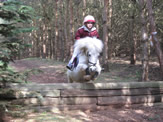 White pony jumping with rider in woods