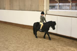 Pony and rider inside