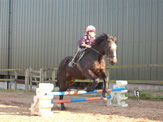 Horse and rider jumping